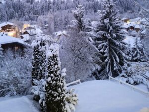 Lire la suite à propos de l’article Séjour à la neige